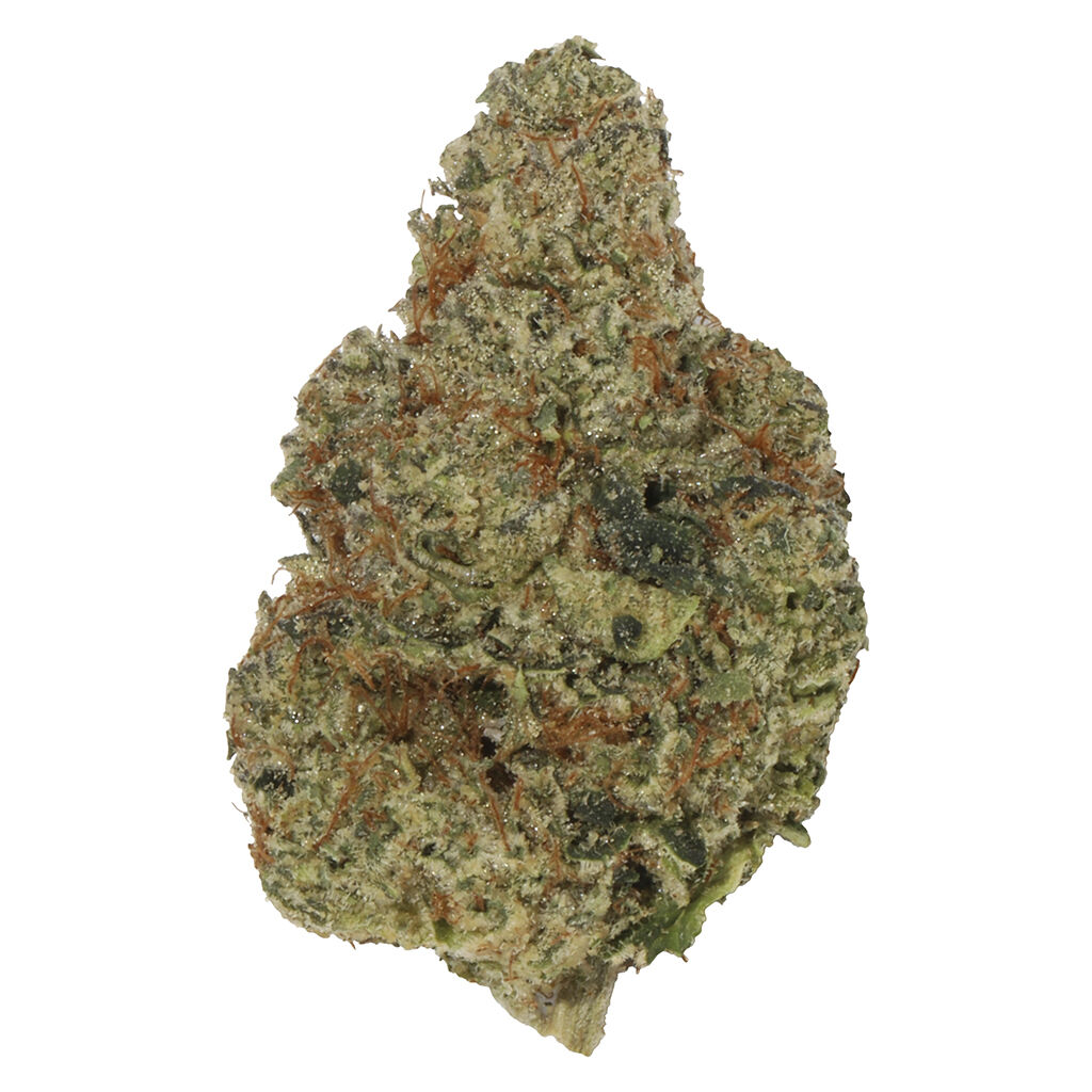 Carmel - Sherbadough (Sunset Sherbert x Dosidos) - Indica