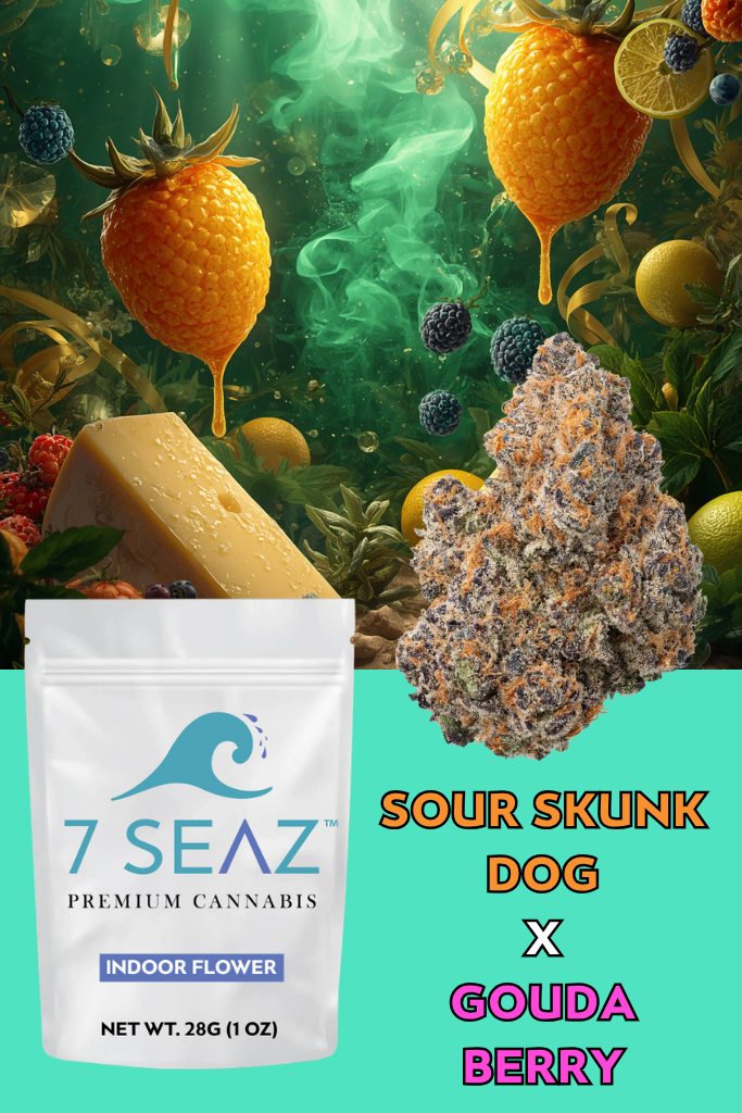 Sour Skunk Dog x Goudaberry