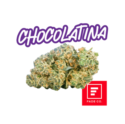Chocolatina