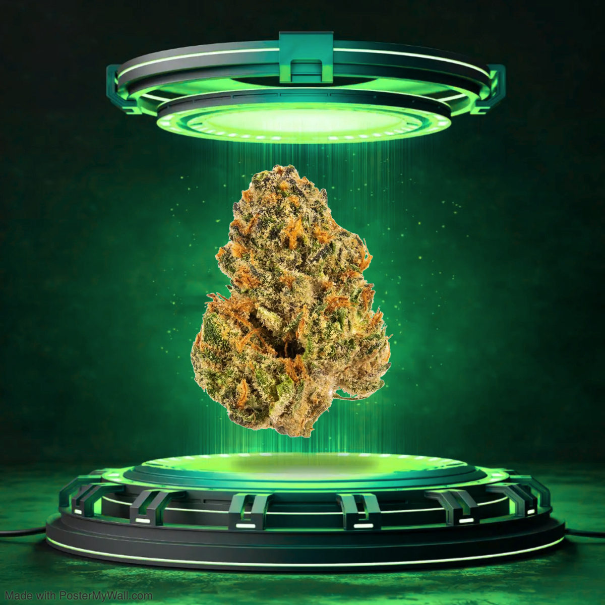 Sticky Sherb - Flower