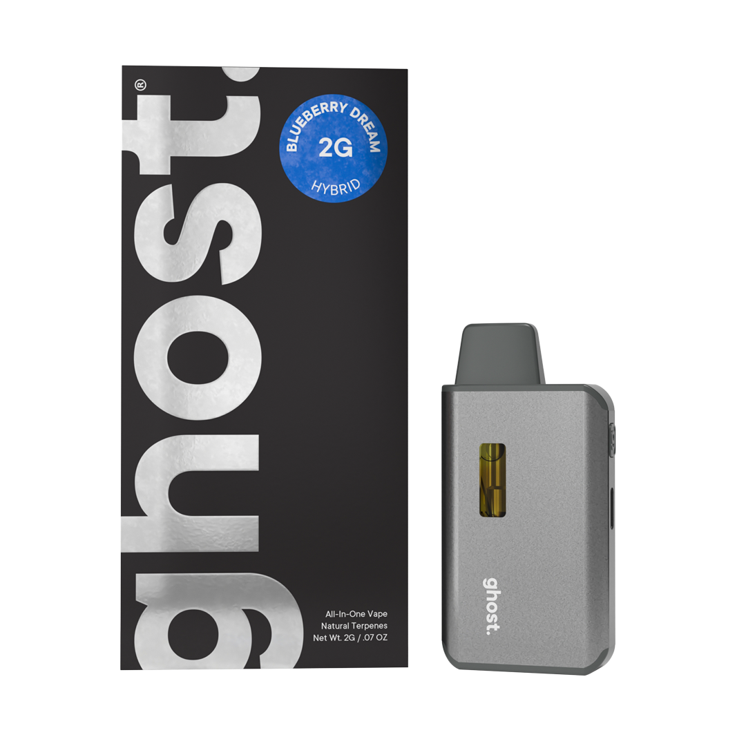 2g Blueberry Dream All-In-One Vape