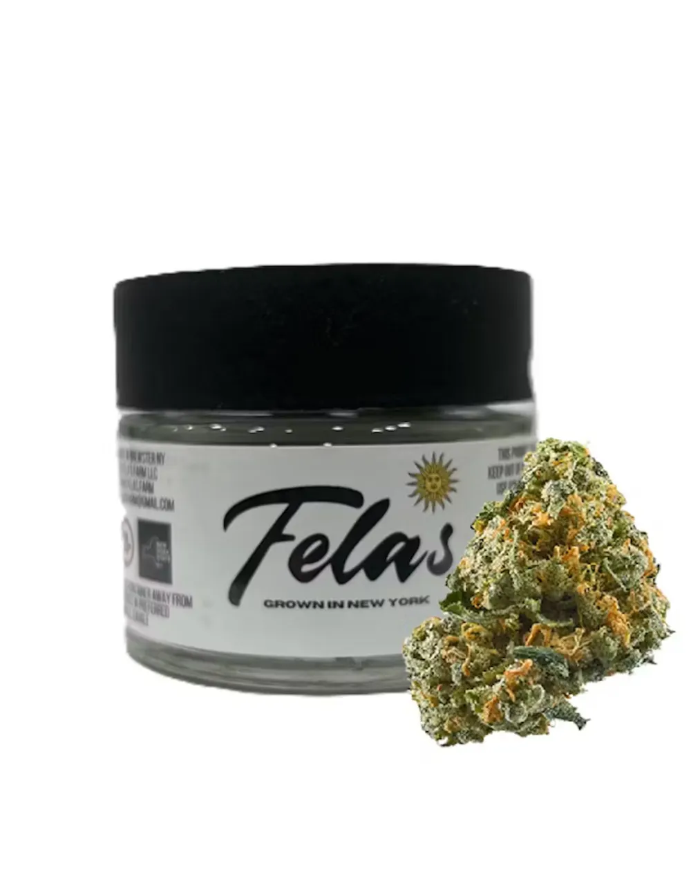 Premium Small Batch Cannabis | Flower Jar 3.5 | Bananaconda (H)