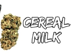 5BORO | Cereal Milk | Hybrid | Dimebag