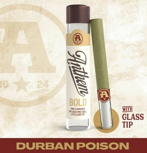 Durban Poison Gold Pre-Roll Glass Tip ( S ) | 1g