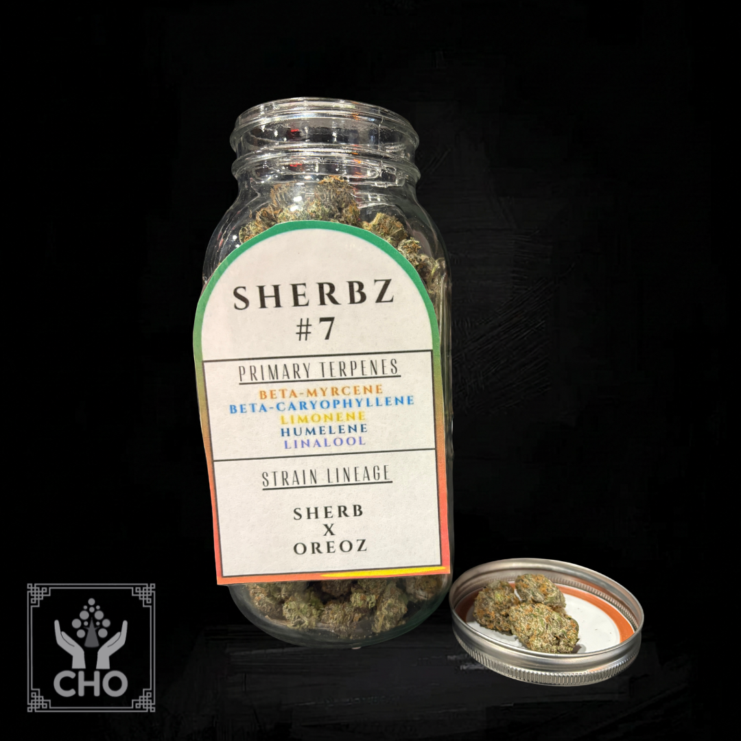 Sherbz #7