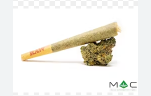 Juniper Jive Pre-Roll | 1g