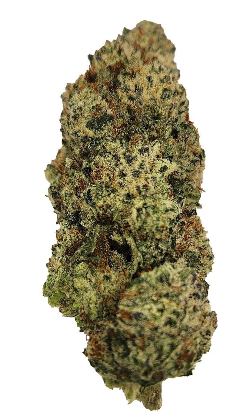 Hash Bee Og