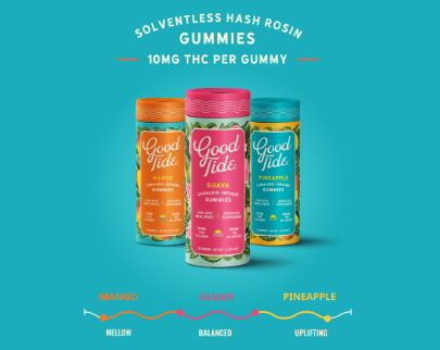 Good Tide: 10pc Grapefruit + - - Good Tide