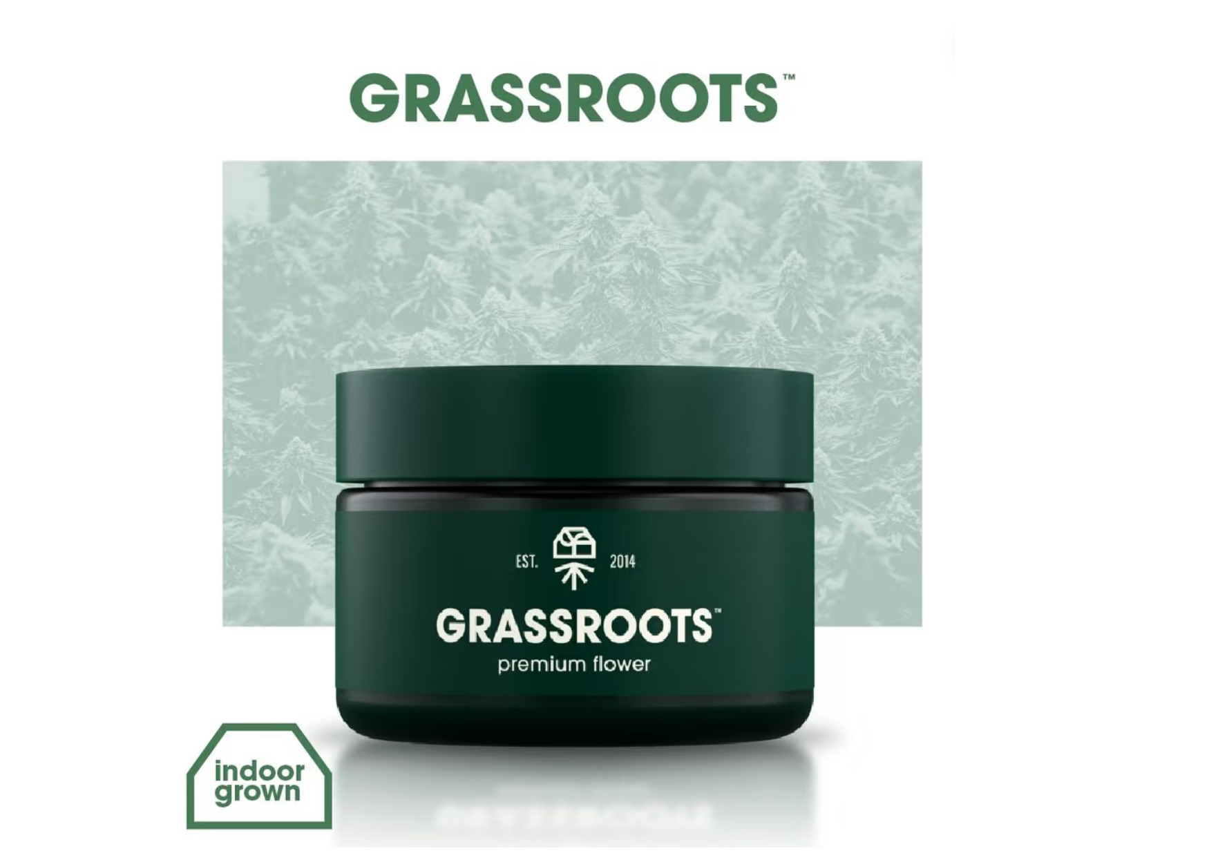 Grassroots Raspbery Turnover 3.5g Flower