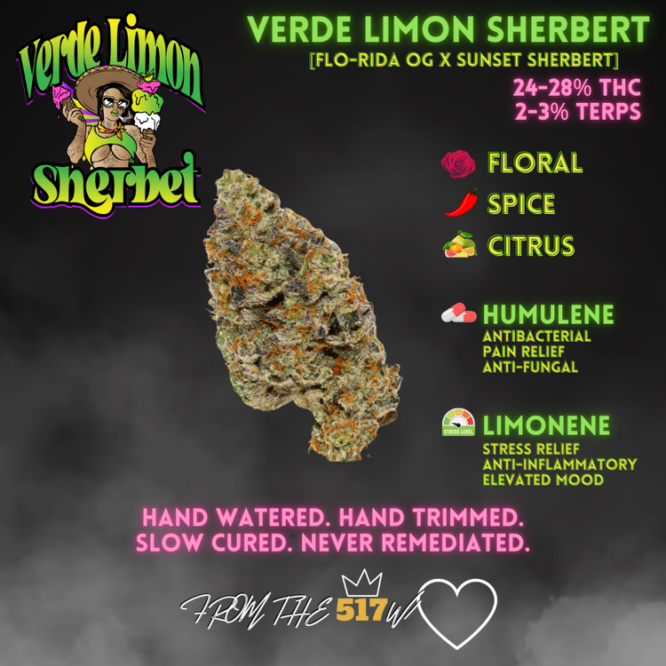 517 Premier Verde Limon Flower