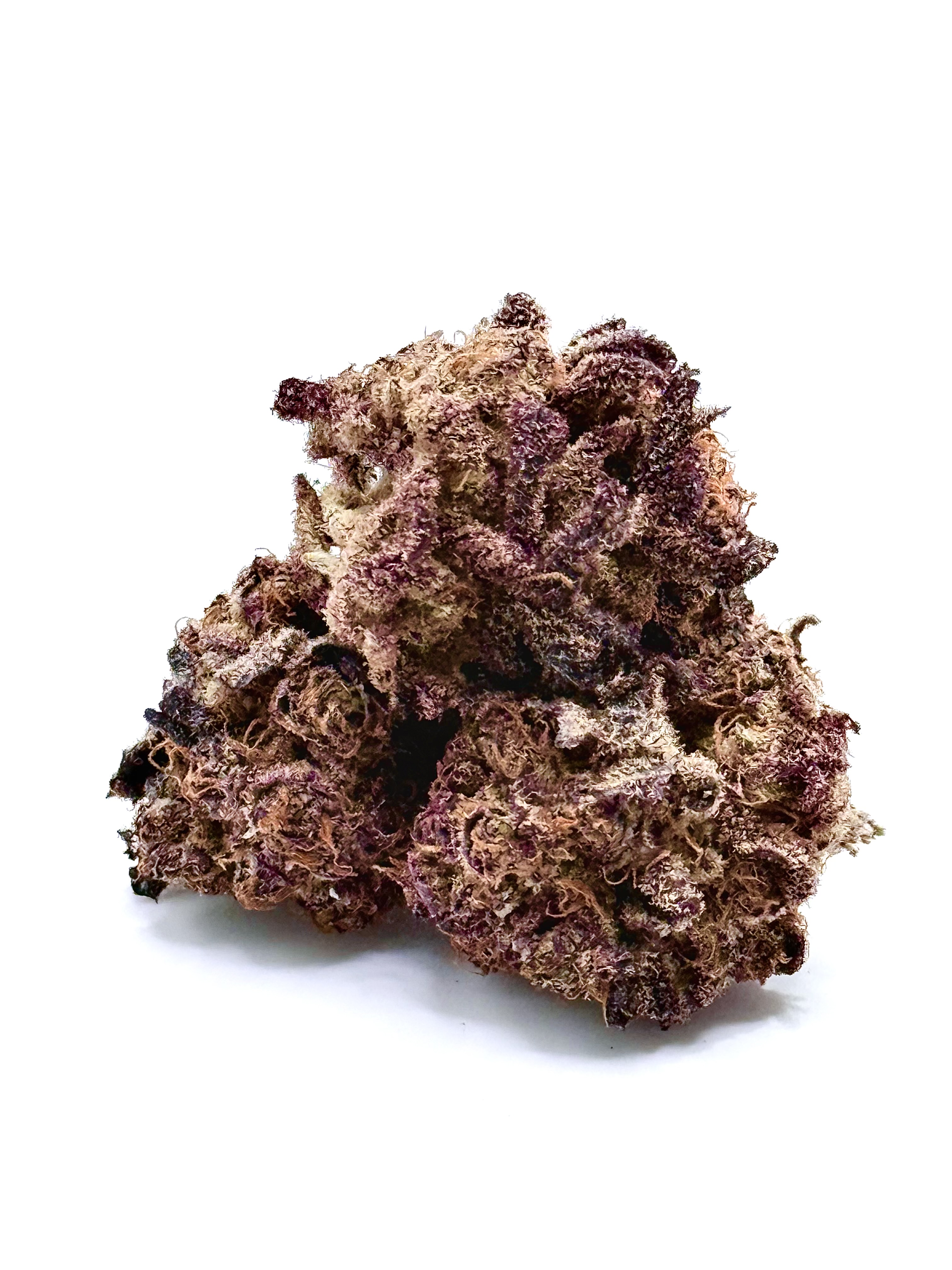 Koosh The Magic Dragon- West