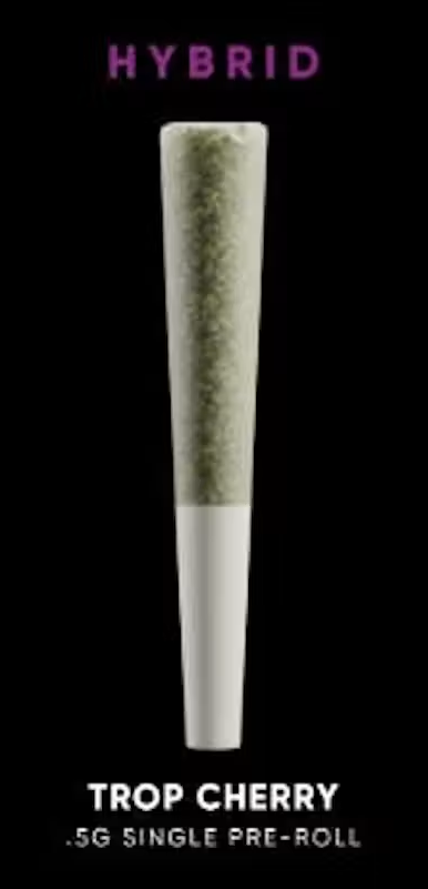 House Of Sacci | Trop Cherry | Pre Roll | 0.5g