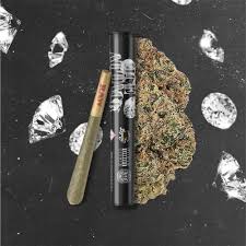 Evol Pre Roll Ice Attack