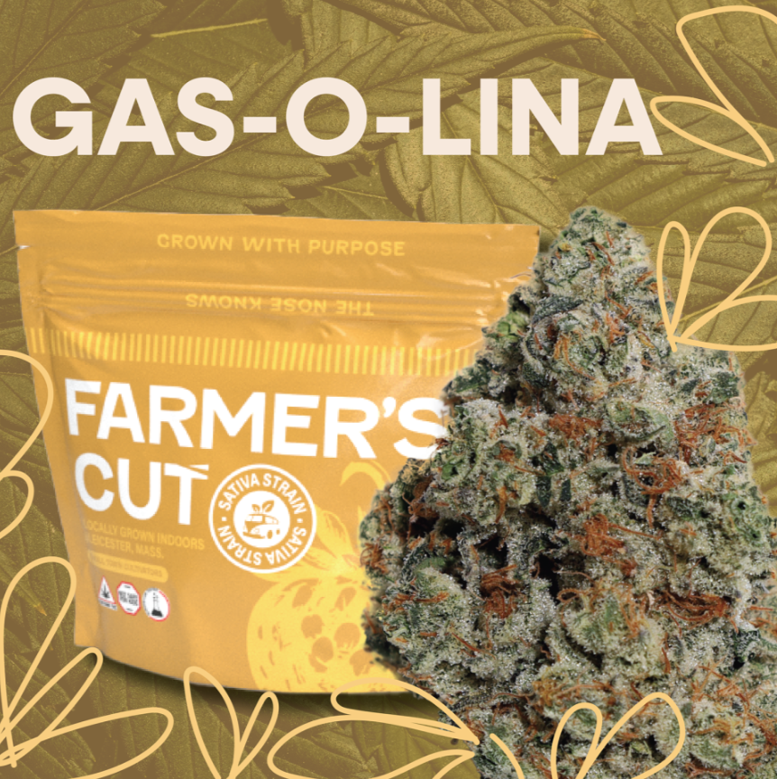 Gas-O-Lina | 14g