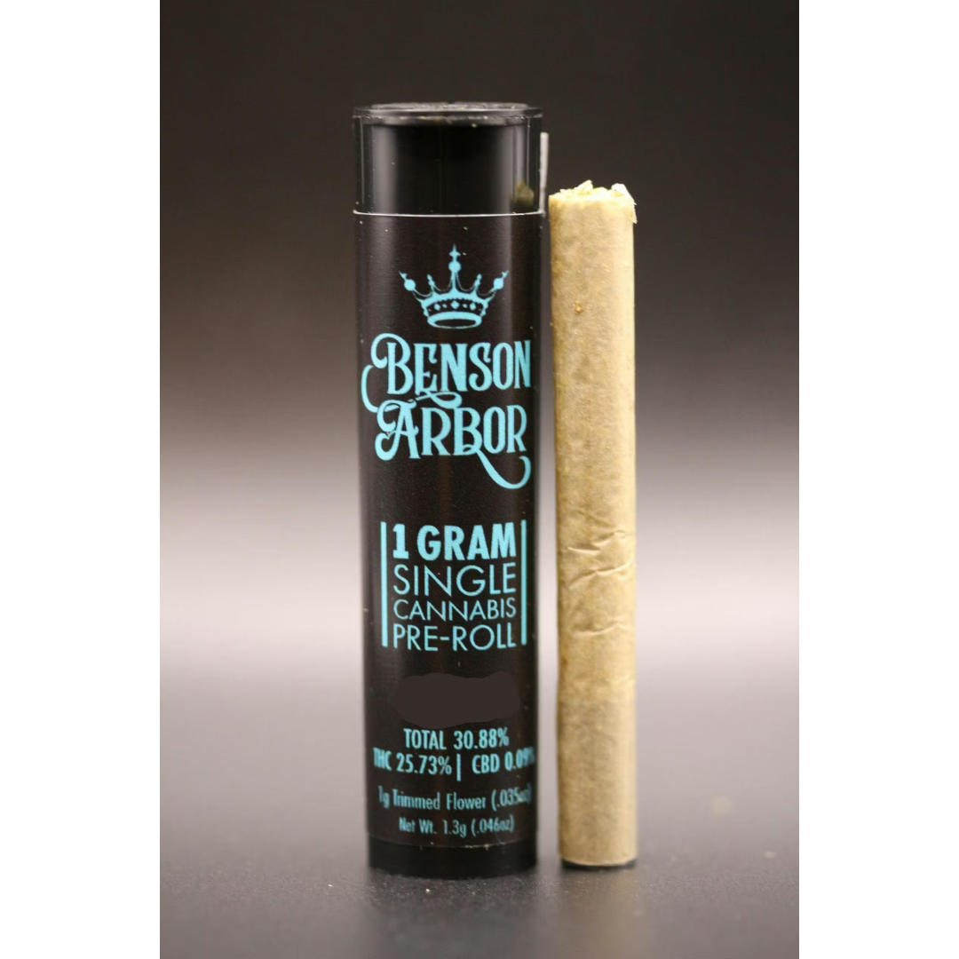 Benson Arbor: The Animal Cone