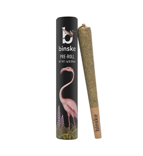 Jungle Pie | Pre-Roll 1g