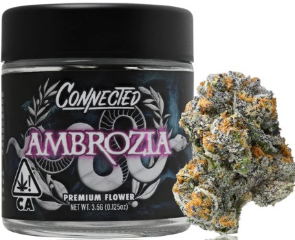 Ambrozia [H] - Flower