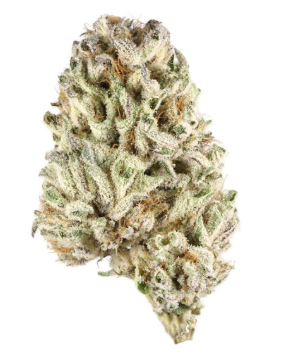 Valley Chem   Infused