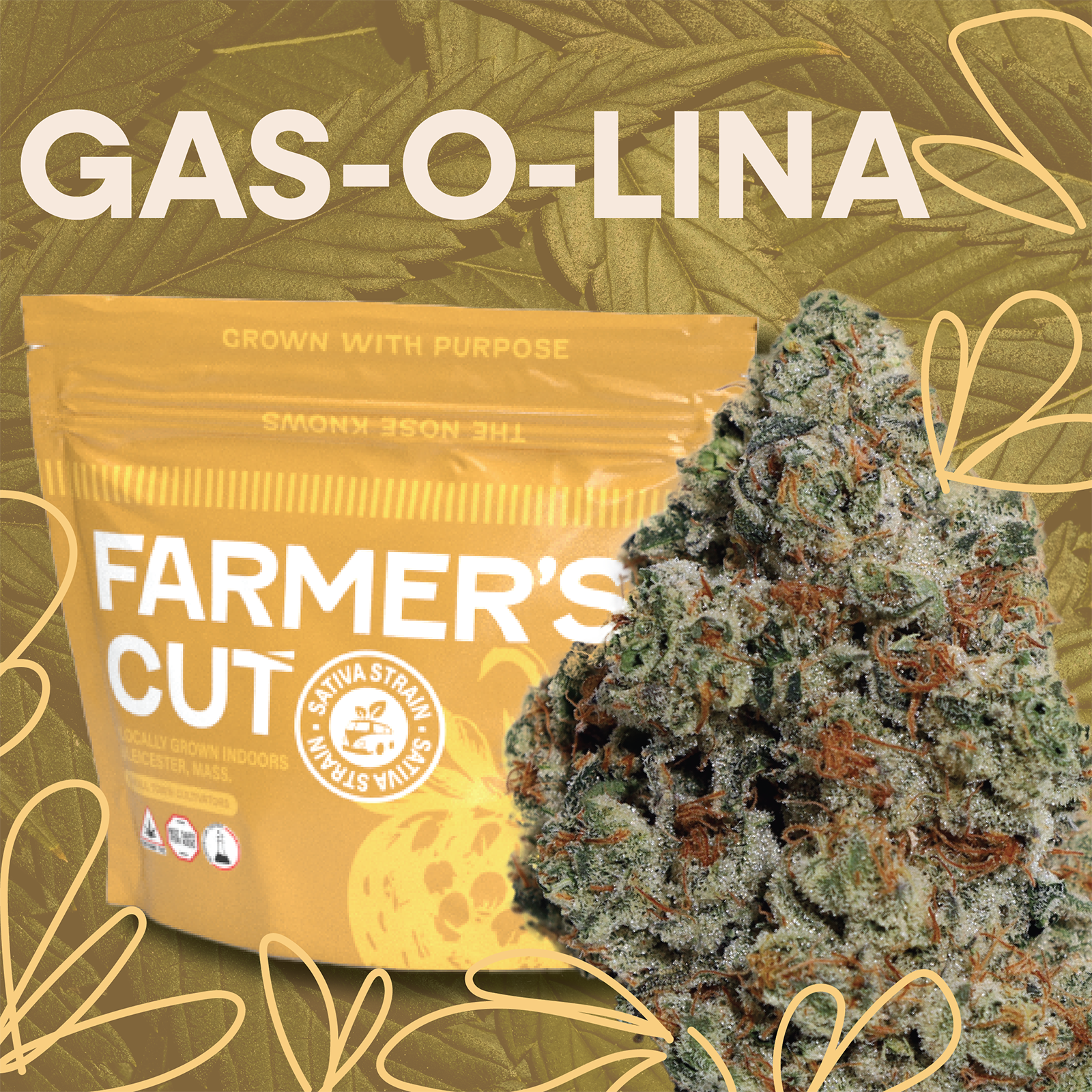 Gas O Lina