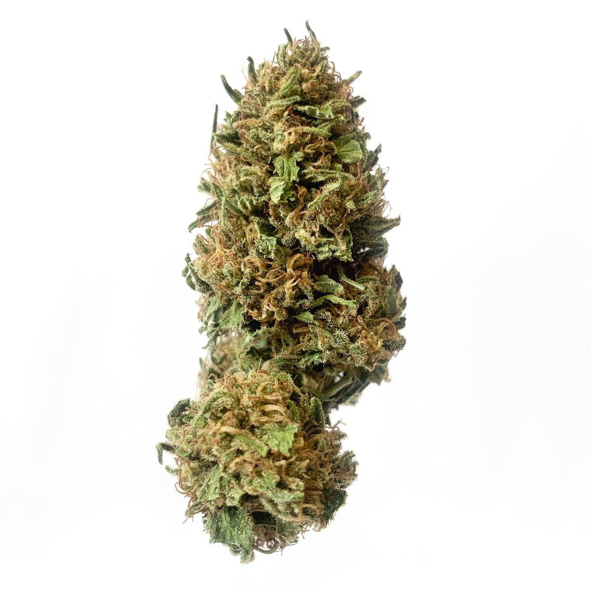 Blueberry Headband - (I)