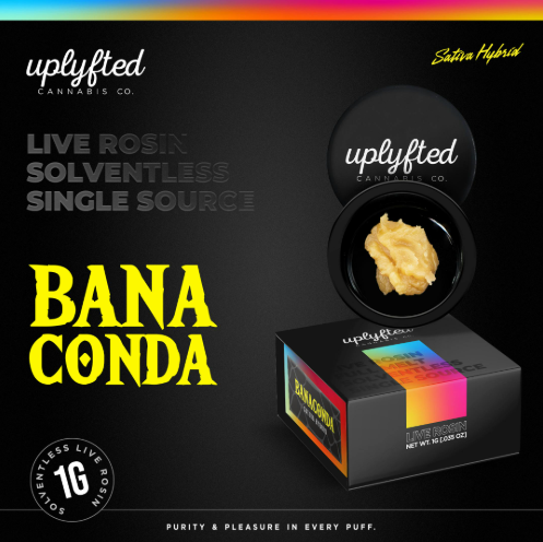 Uplyfted Banaconda Live Rosin 90u 1.0g