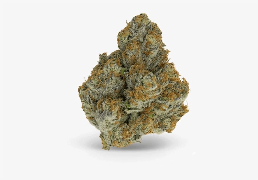 Green Labs Blue Zushi 2 Gold