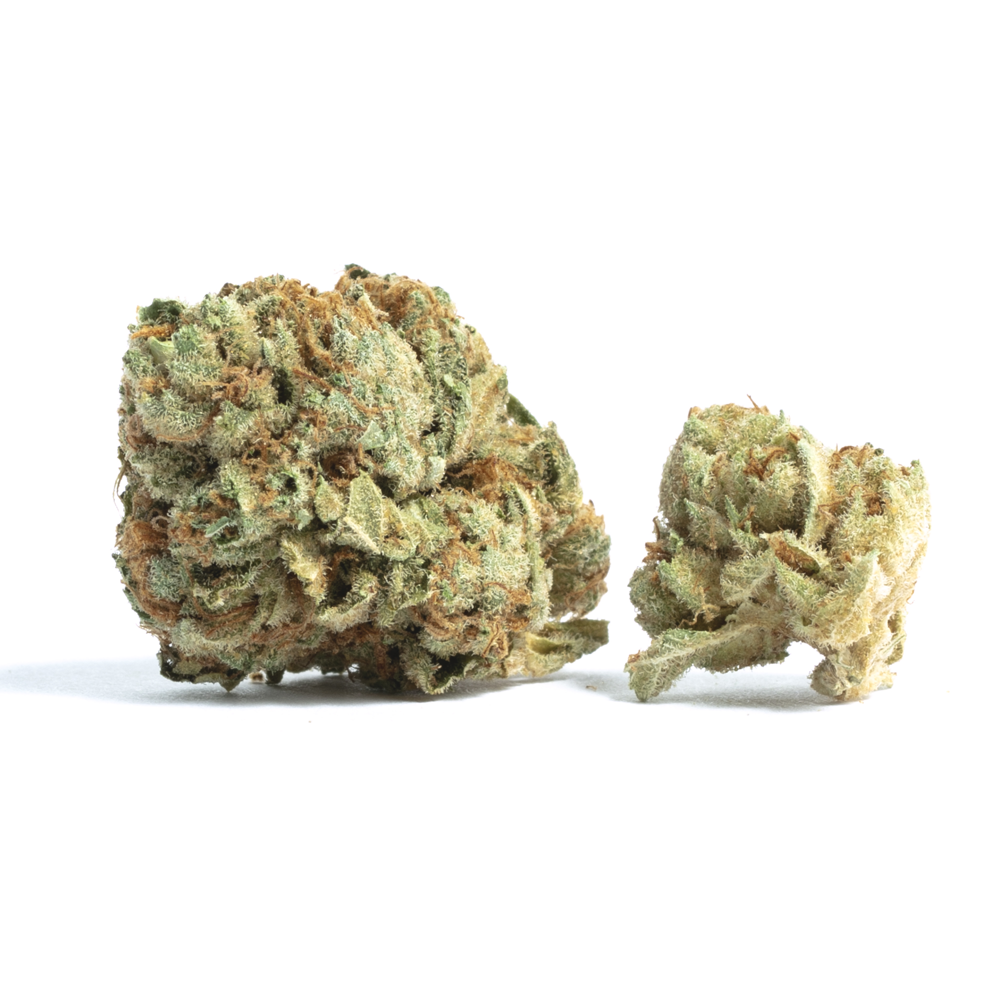 Hippies | Tar Mints 3.5g