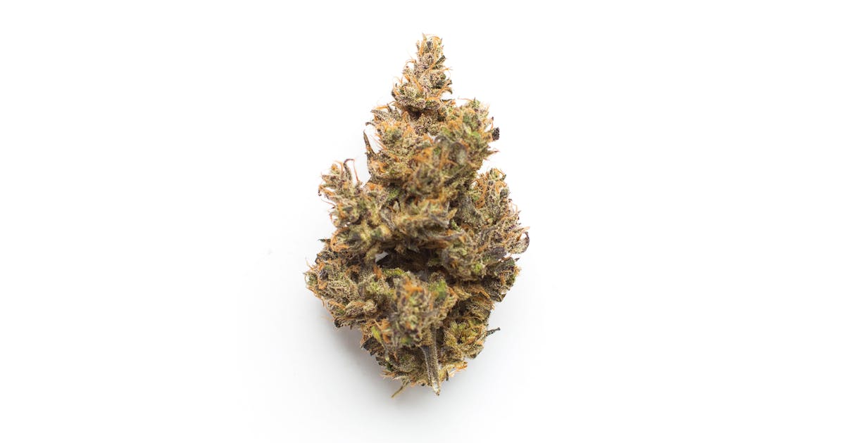 Purple Eclipse | 28g