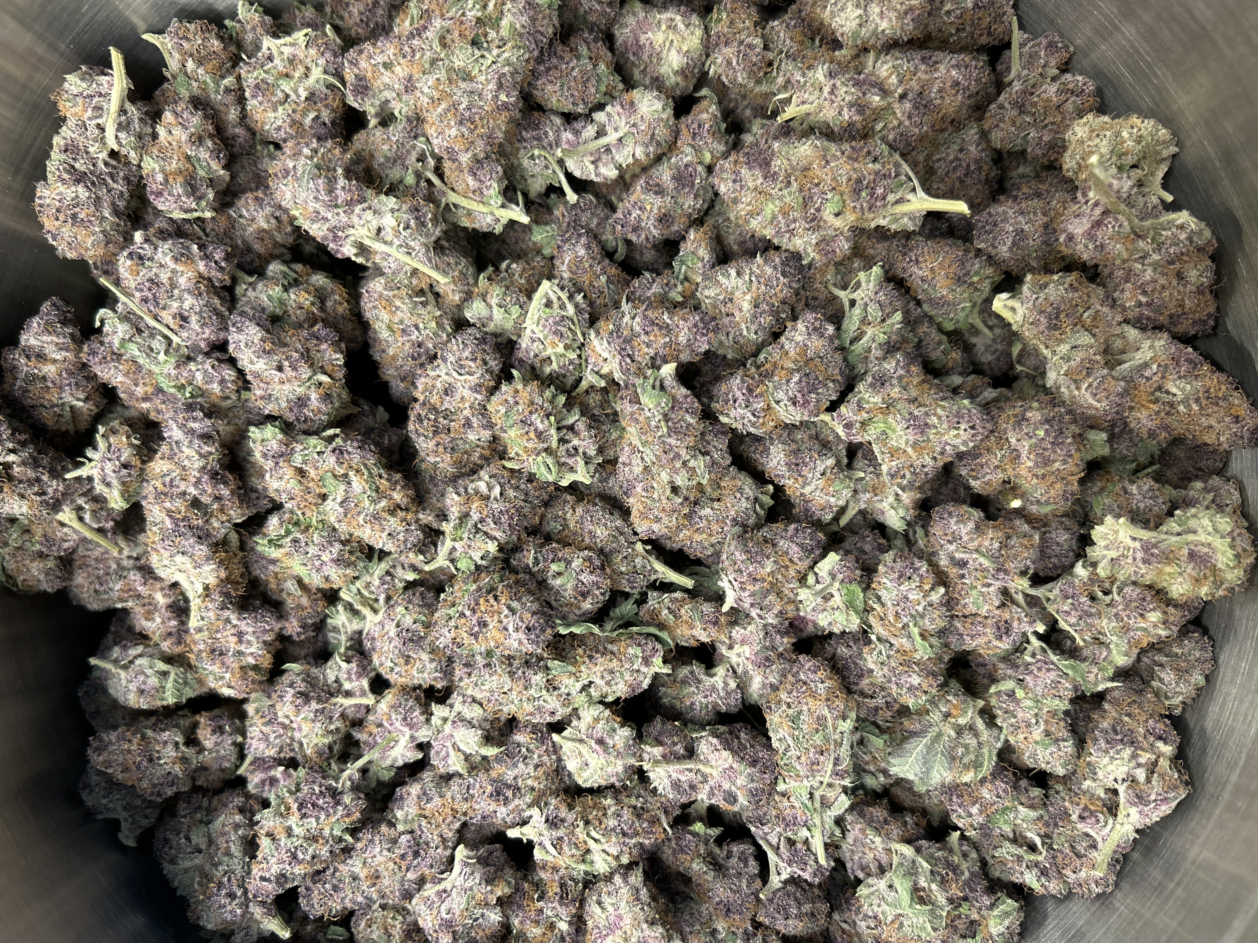 Aura | Trop Cherries | Buds | 2.5% Terps (2g) product photo