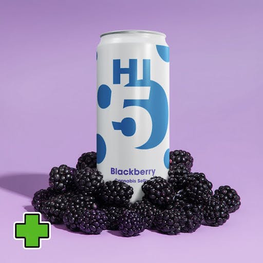 4PK Hi-5 Seltzer - Blackberry