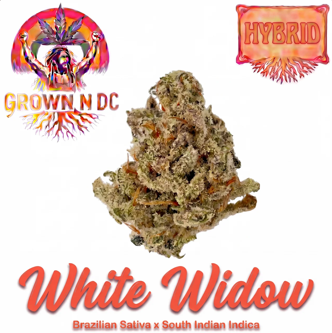 White Widow