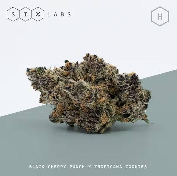 Six Labs | Blockberry | House Pre-Pack | 3.5g