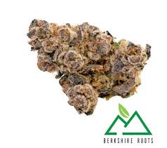 Blueberry Cookies | 3.5g