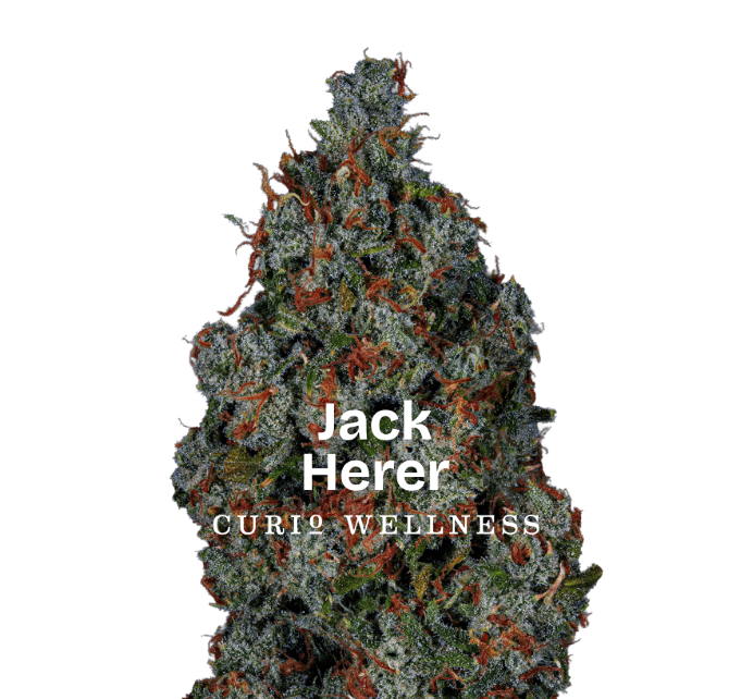 CURIO Jack Herer 3.5g