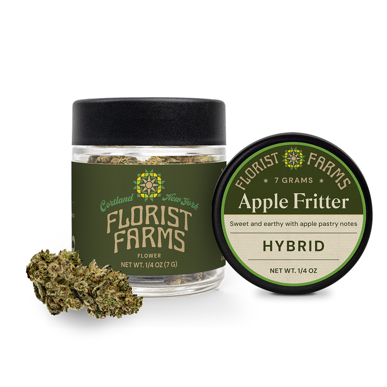 Apple Fritter