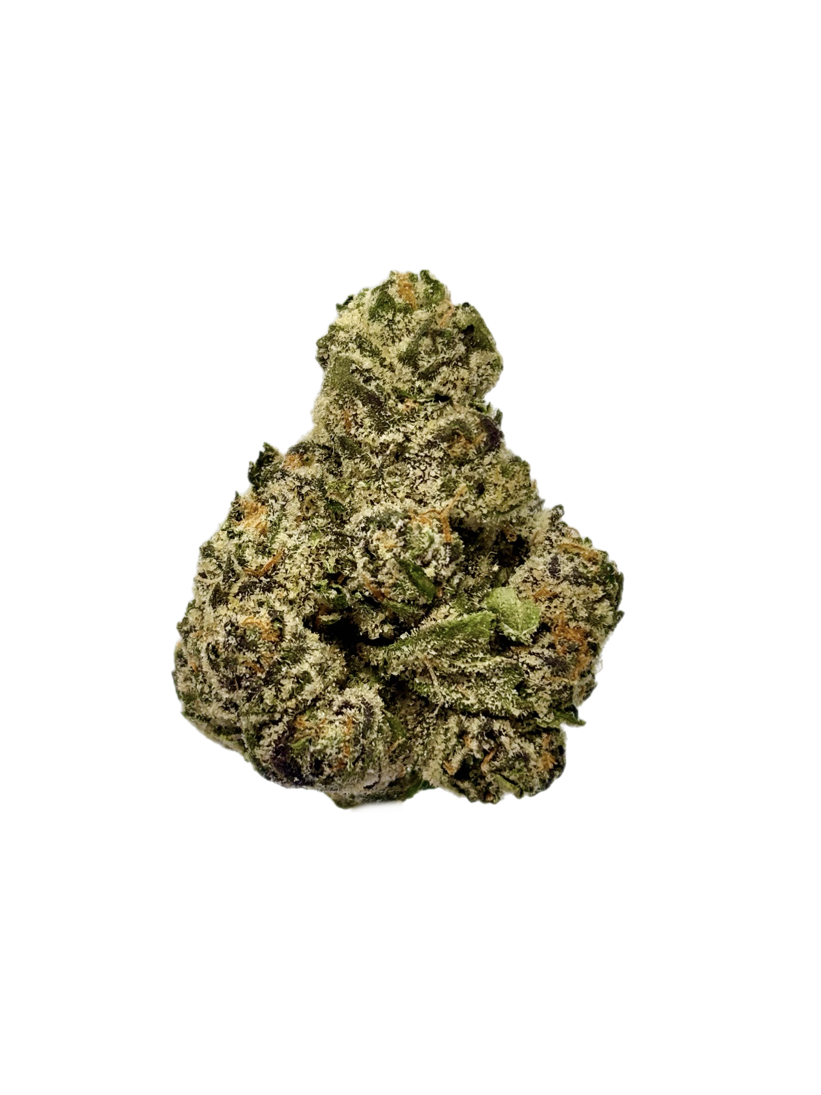 Seed Junky | Mocha Runtz | Bulk Flower | Diamond Tier