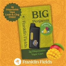 FRANKLIN FIELDS PENJAMIN | 2G DISPOSABLE | GREEN CRACK