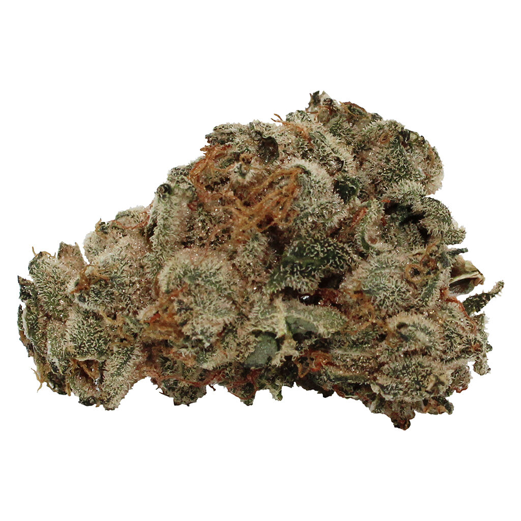 Pure Laine Cannabis - Original Kush - Indica