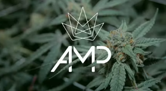 AMP | Grapefruit Cartridge product photo