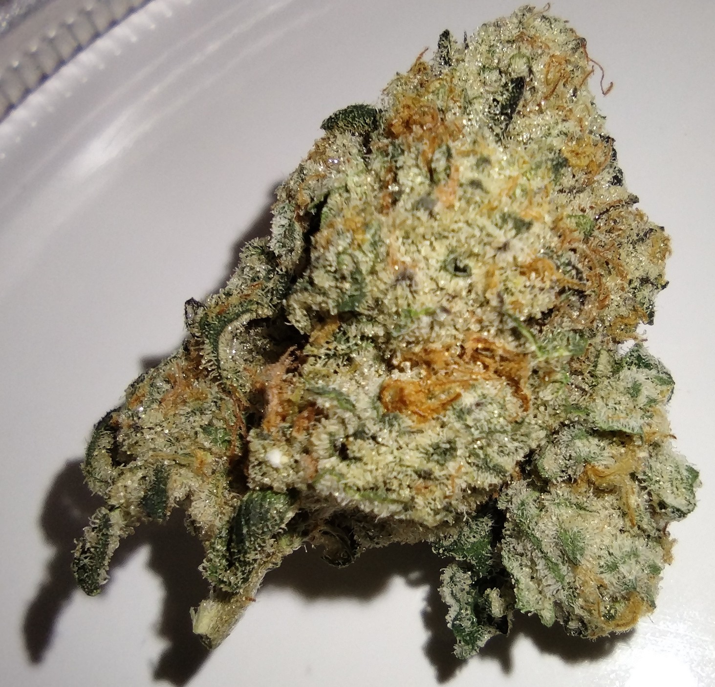 Headband - 3.5g - Flower