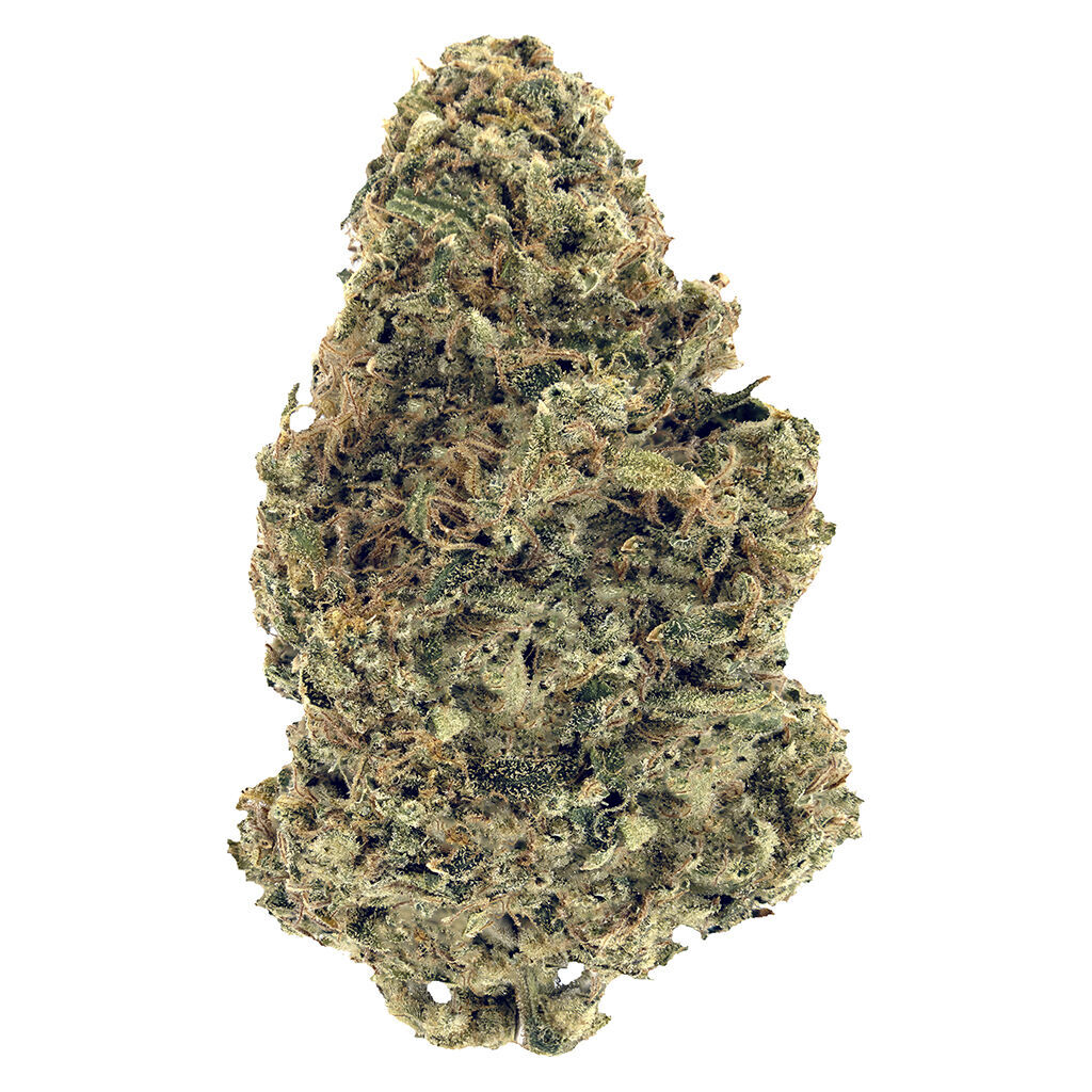 Woody Nelson - Warehouse Premium Smalls - (3.5g - Nightmare Kushmints @ 27.44% THC, 1.99% Terps! | 28g - Blue Guava @ 29.5% THC, 4.44% TERPS!!)