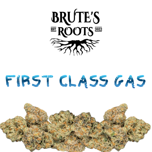3.5g Premium Flower - First Class Gas - Brute's Roots - REC