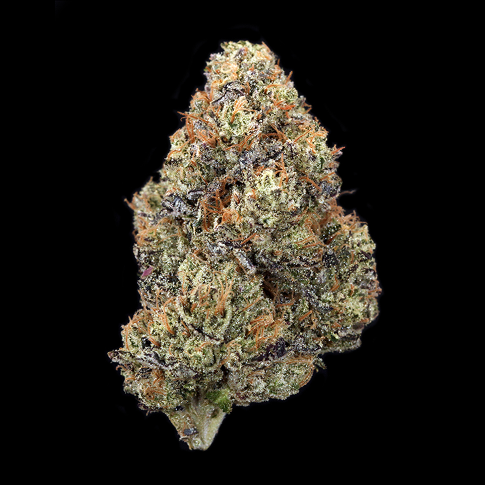 GL Bud | Road Dawg