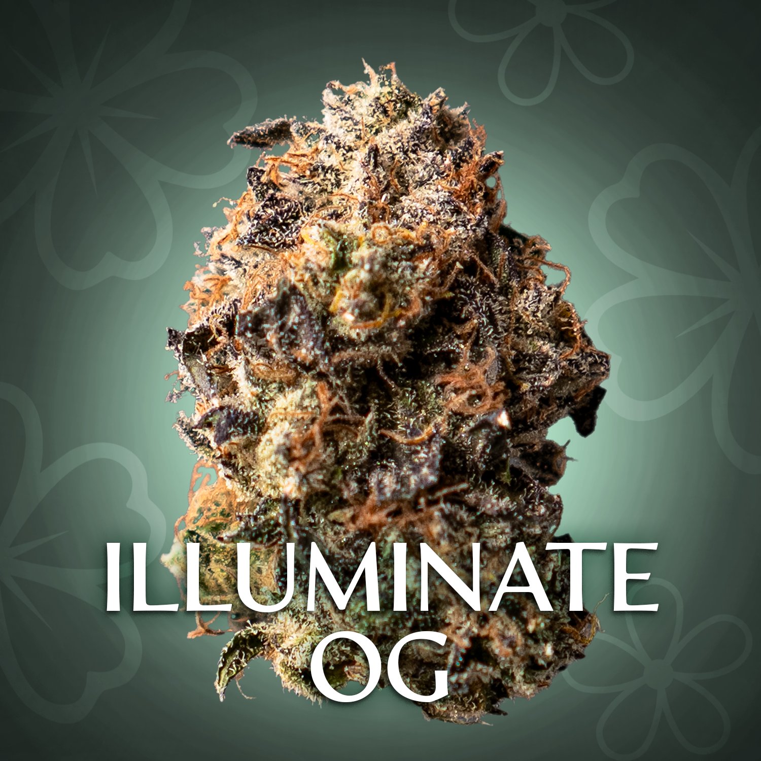 Illuminate Og