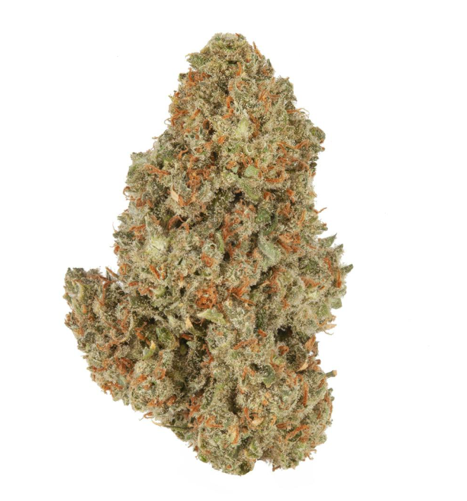 Oz Sherbanger #22