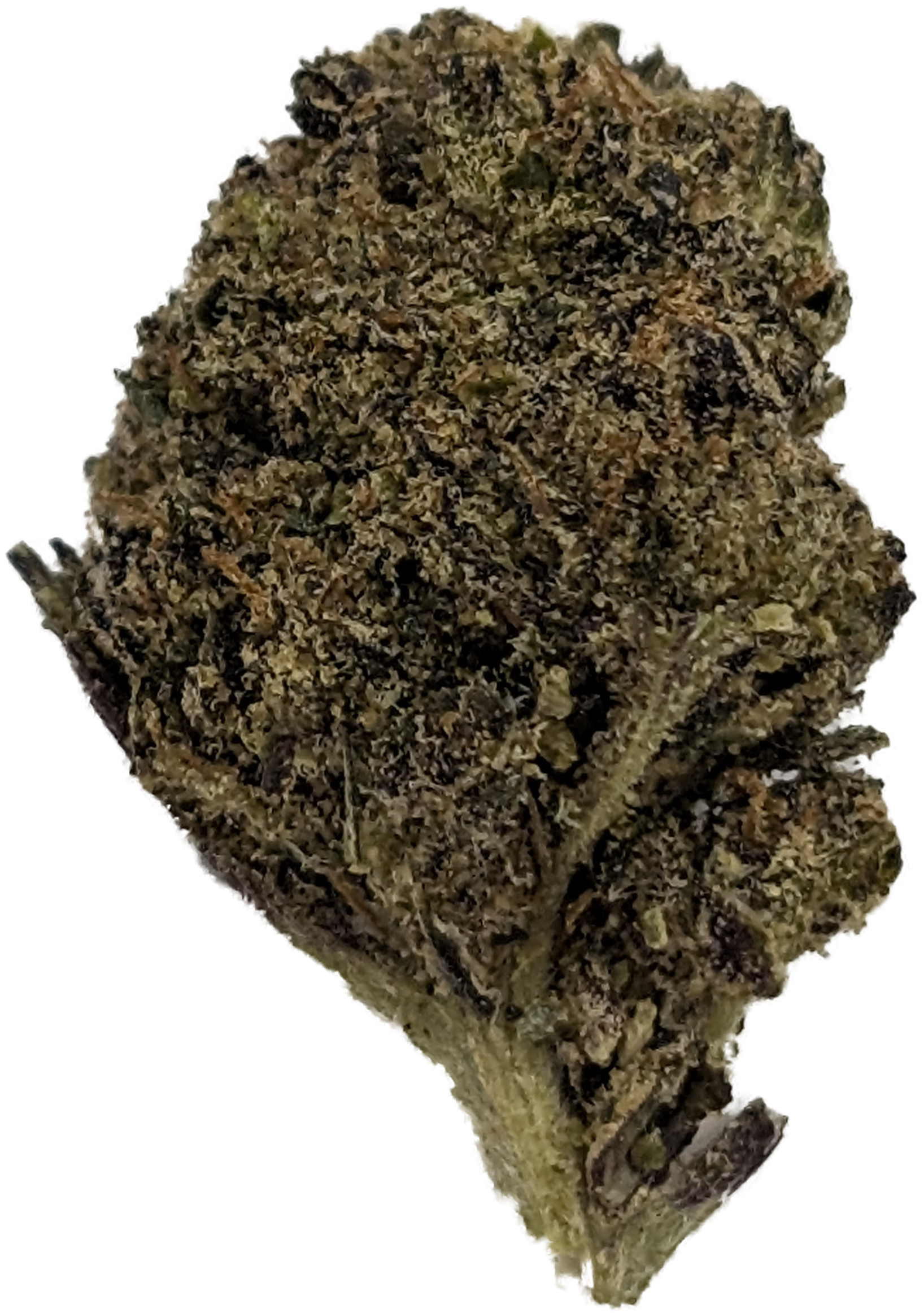 Face On Fire OG | 1oz - 1oz in Palisade