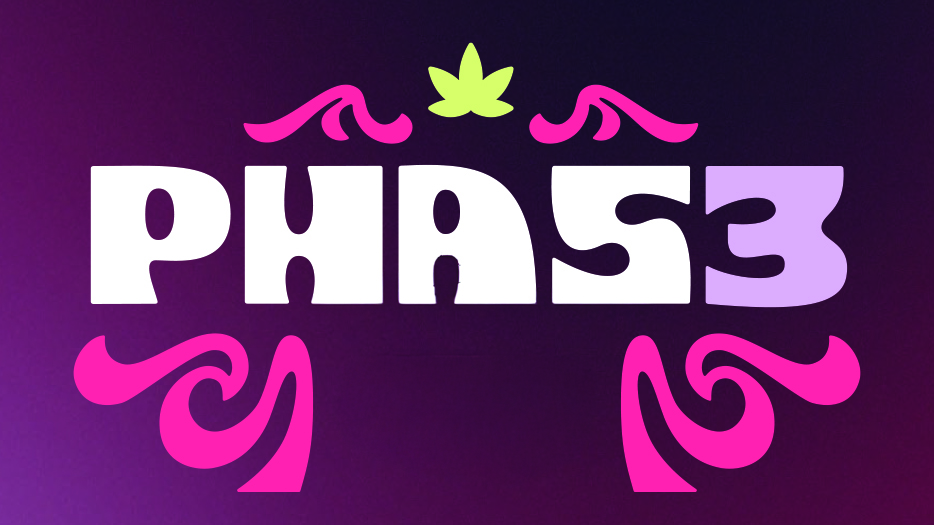 Phase 3