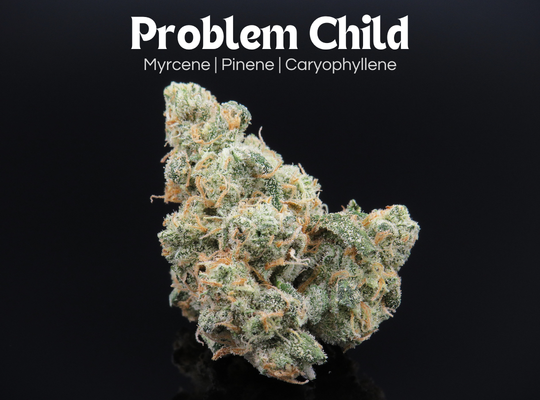 Problem Child