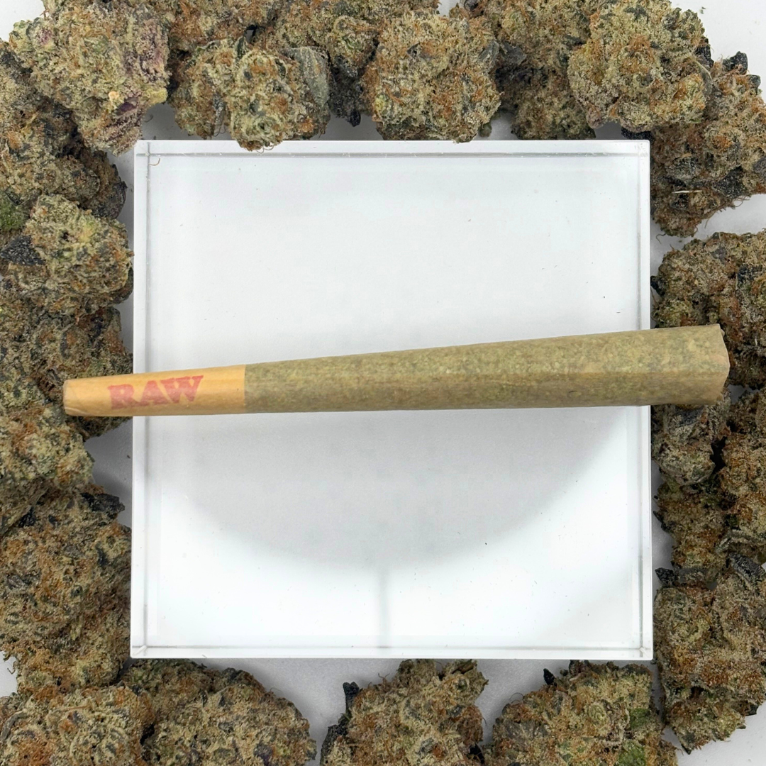 GMO x Jungle Cake Pre-Roll | 1g | *Gold Tier*