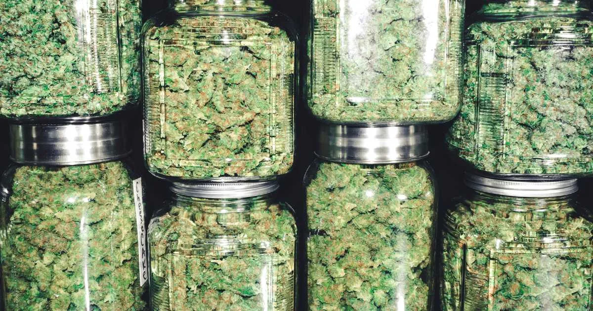 Aid Pre Packed Ounce Only!